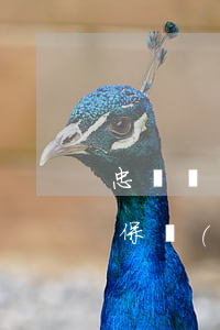 忠誠協(xié)議與凈身出戶是否受法律保護(hù)？